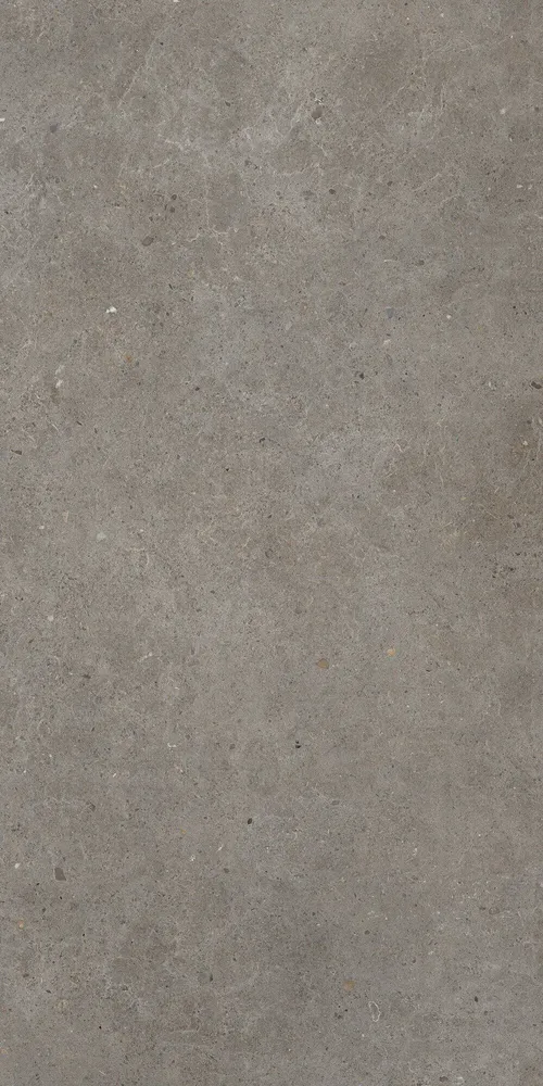 Indoor floor coverings - Matt Ash Grey Concrete Effect Porcelain Stoneware 60X120 - EBFE017 (Ceramishop.fr) - CERAMISHOP