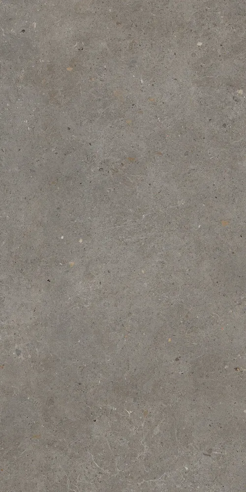 Indoor floor coverings - Matt Ash Grey Concrete Effect Porcelain Stoneware 60X120 - EBFE017 (Ceramishop.fr) - CERAMISHOP