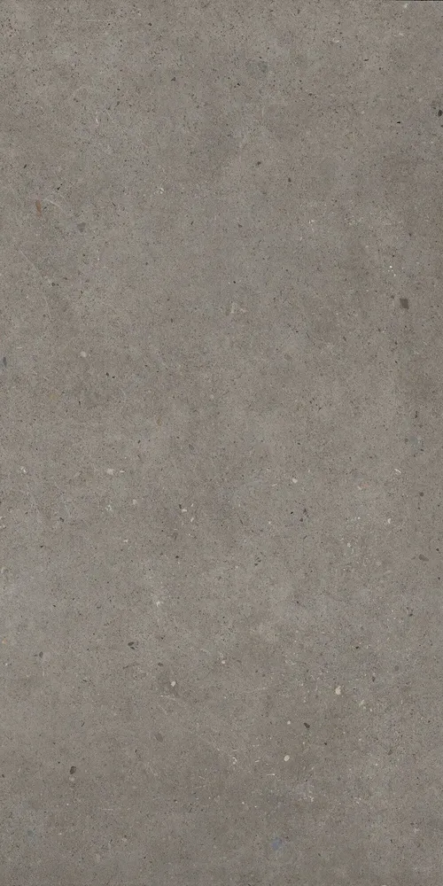 Indoor floor coverings - Matt Ash Grey Concrete Effect Porcelain Stoneware 60X120 - EBFE017 (Ceramishop.fr) - CERAMISHOP