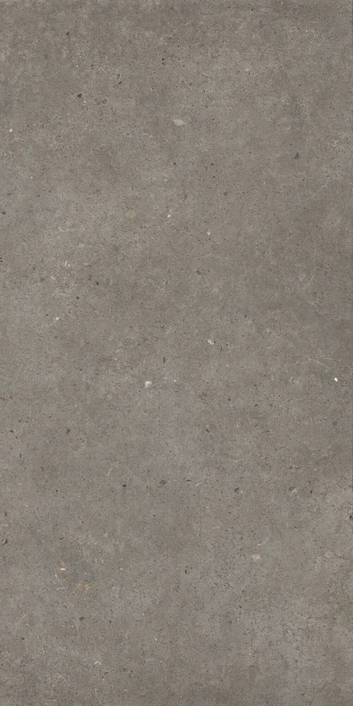 Indoor floor coverings - Matt Ash Grey Concrete Effect Porcelain Stoneware 60X120 - EBFE017 (Ceramishop.fr) - CERAMISHOP
