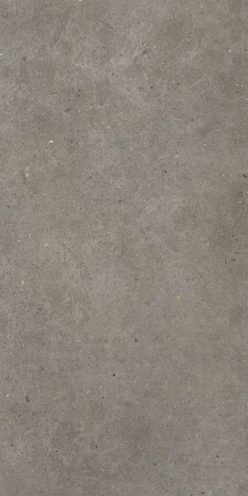 Indoor floor coverings - Matt Ash Grey Concrete Effect Porcelain Stoneware 60X120 - EBFE017 (Ceramishop.fr) - CERAMISHOP
