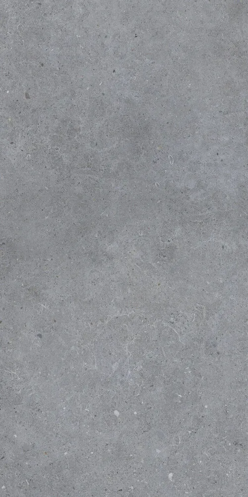 Indoor floor coverings - Dark Grey Matt Concrete Effect Porcelain Stoneware 60X120 - EBGW013 (Ceramishop.fr) - CERAMISHOP