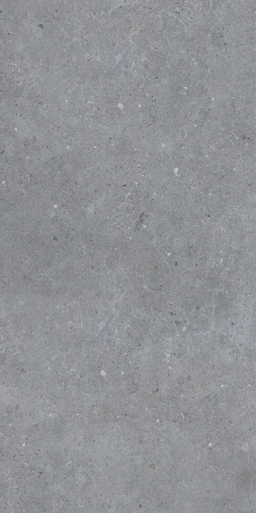 Indoor floor coverings - Dark Grey Matt Concrete Effect Porcelain Stoneware 60X120 - EBGW013 (Ceramishop.fr) - CERAMISHOP