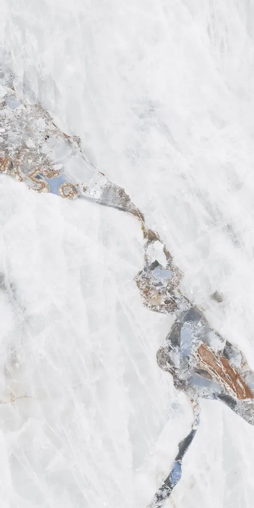 Revêtements sols intérieurs - Grès Cérame Effet Marbre Précieux Blanc Brillant 60X120 - EBRP193 (Ceramishop.fr) - CERAMISHOP