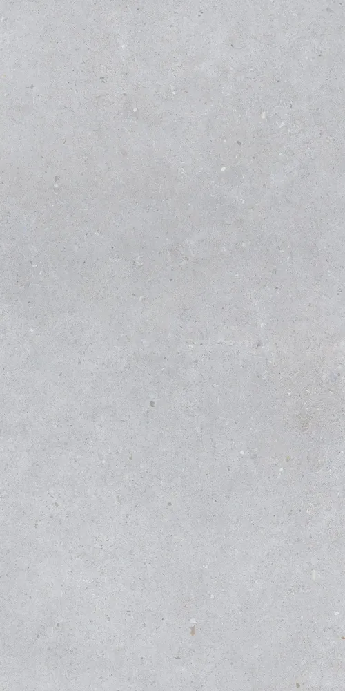 Revêtements sols intérieurs - Grès Cérame Effet Béton Gris Clair Mat 60X120 - EBST009 (Ceramishop.fr) - CERAMISHOP