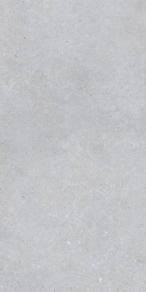 Revêtements sols intérieurs - Grès Cérame Effet Béton Gris Clair Mat 60X120 - EBST009 (Ceramishop.fr) - CERAMISHOP