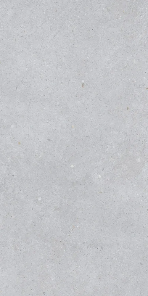 Revêtements sols intérieurs - Grès Cérame Effet Béton Gris Clair Mat 60X120 - EBST009 (Ceramishop.fr) - CERAMISHOP