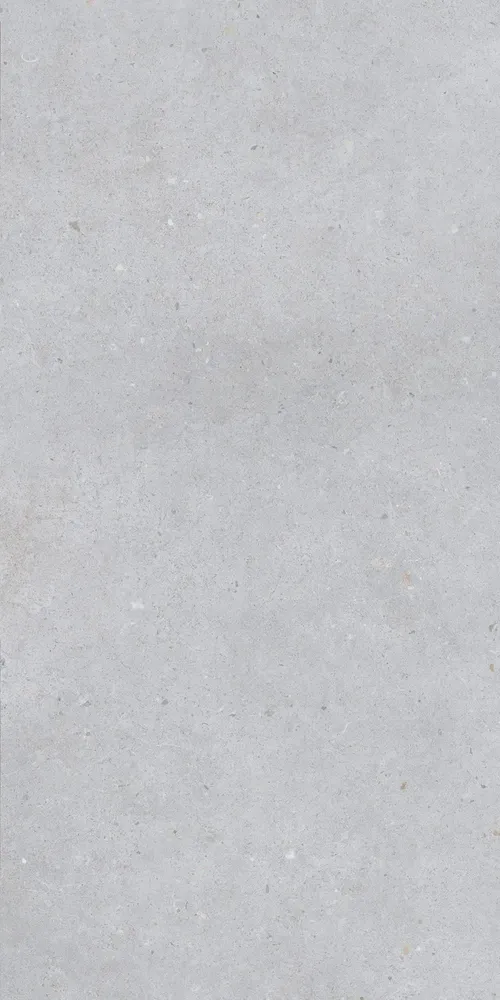 Revêtements sols intérieurs - Grès Cérame Effet Béton Gris Clair Mat 60X120 - EBST009 (Ceramishop.fr) - CERAMISHOP