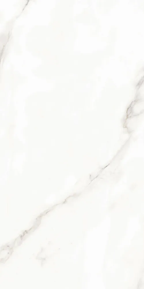 Indoor floor coverings - Calacatta Matte Marble Effect Porcelain Stoneware 60X120 - ECAA105 (Ceramishop.fr) - CERAMISHOP