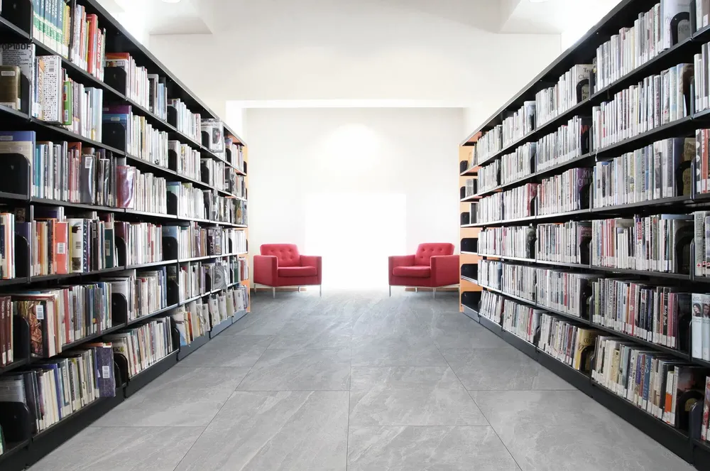 Revêtements sols intérieurs - Grès Cérame Effet Marbre Raffiné Gris Clair Mat 60X120 - ECOR805 (Ceramishop.fr) - CERAMISHOP