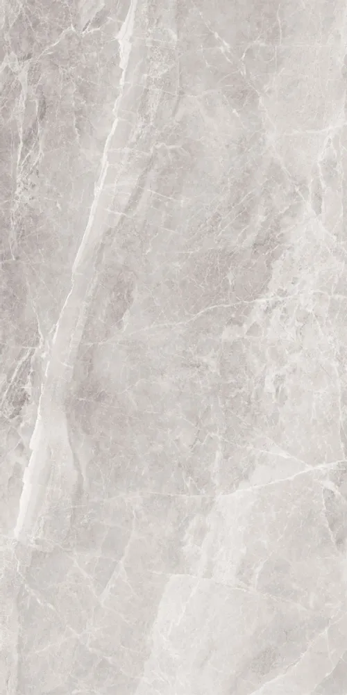 Revêtements sols intérieurs - Grès Cérame Effet Marbre Raffiné Gris Clair Mat 60X120 - ECOR805 (Ceramishop.fr) - CERAMISHOP