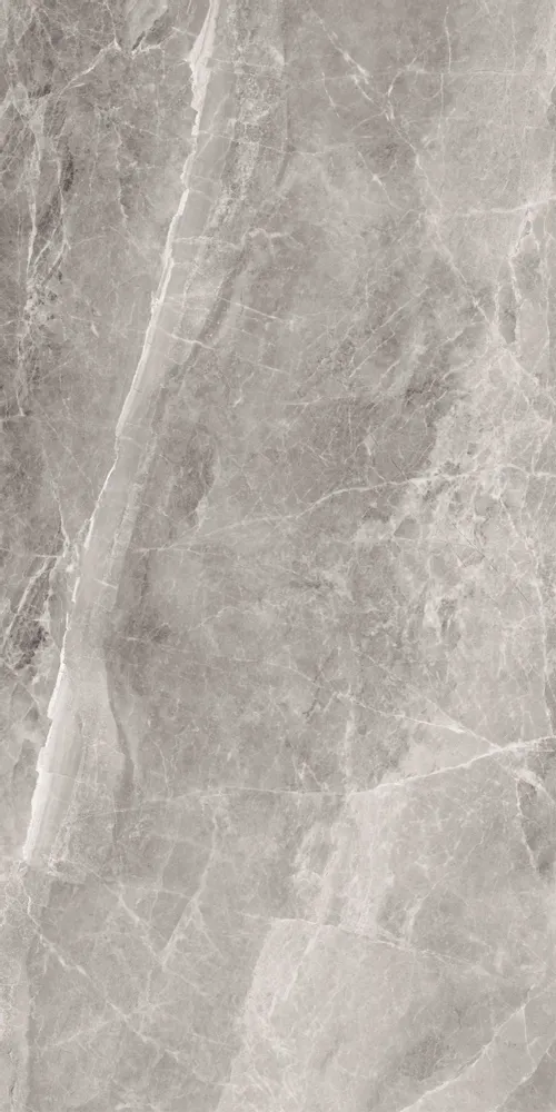 Revêtements sols intérieurs - Grès Cérame Effet Marbre Raffiné Gris Mat 60X120 - ECVE807 (Ceramishop.fr) - CERAMISHOP