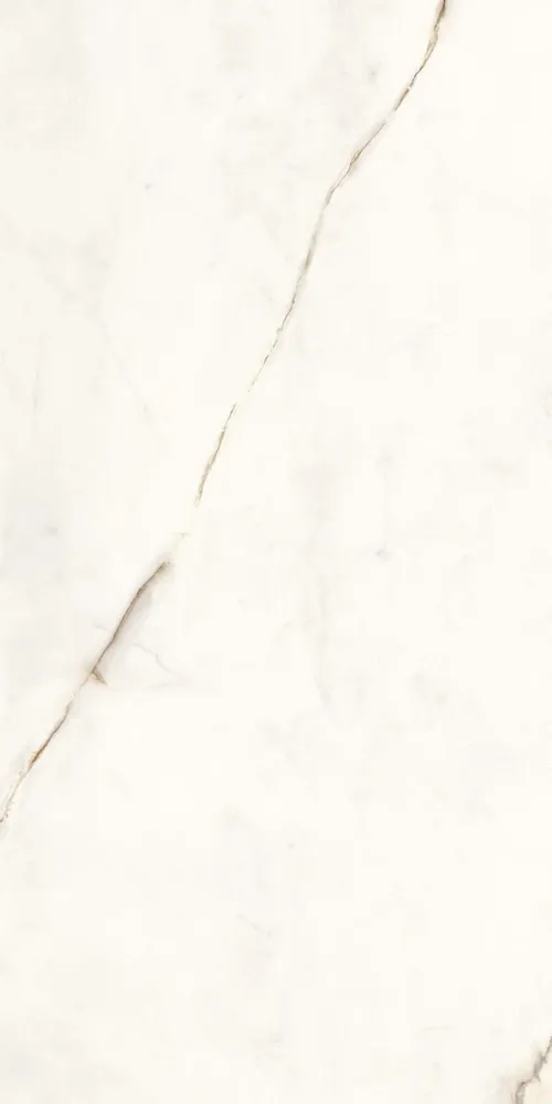 Indoor floor coverings - Calacatta Gold Extra Gloss Marble Effect Porcelain Stoneware 60X120 - EDGD120 (Ceramishop.fr) - CERAMISHOP