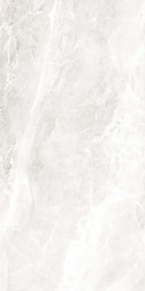 Indoor floor coverings - Refined Marble Effect Porcelain Stoneware, Matte White, 60x120 - ECWE803 (Ceramishop.fr) - CERAMISHOP