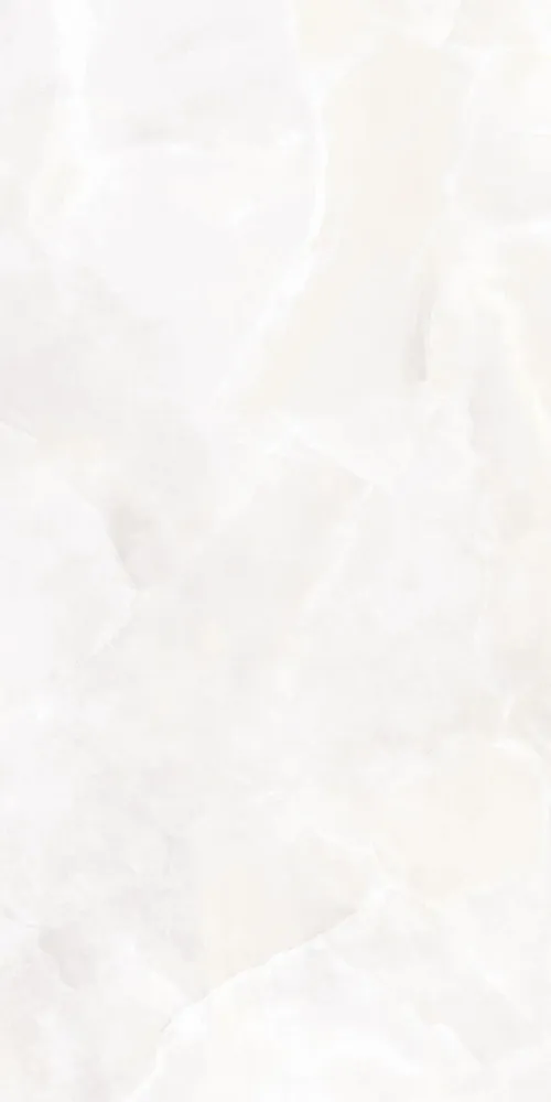 Revêtements sols intérieurs - Grès Cérame Effet Marbre Onyx Blanc Mat 60X120 - EOXW133 (Ceramishop.fr) - CERAMISHOP