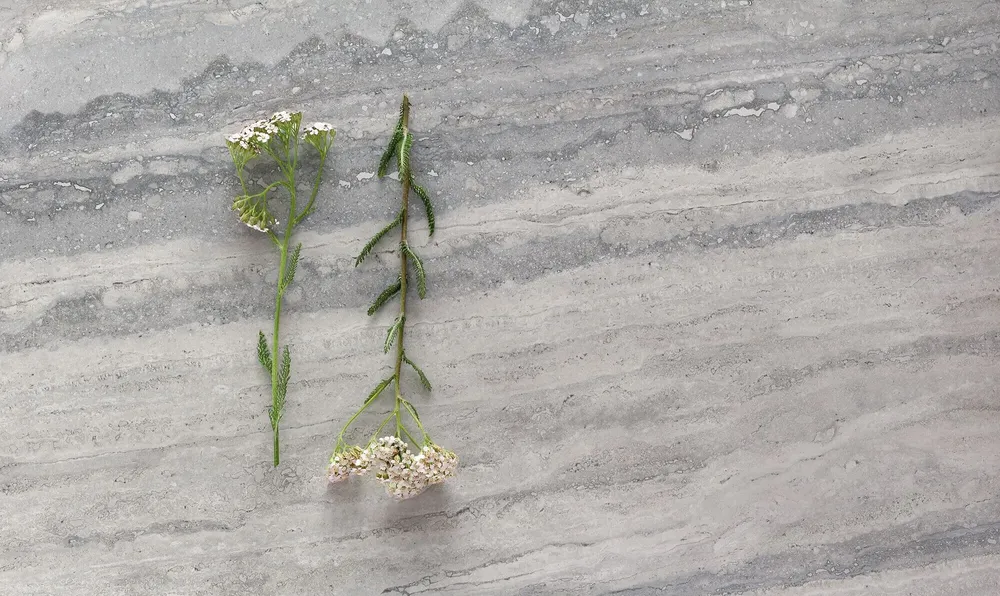 Indoor floor coverings - Matte Grey Travertine Marble Effect Porcelain Stoneware 60X120 - ENVO153 (Ceramishop.fr) - CERAMISHOP