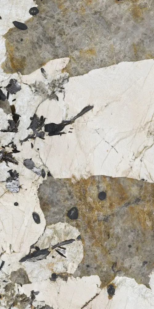 Revêtements sols intérieurs - Grès Cérame Effet Marbre Patagonie Brillant 60X120 - EPAA158 (Ceramishop.fr) - CERAMISHOP