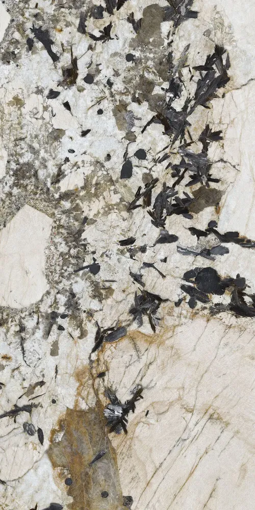 Revêtements sols intérieurs - Grès Cérame Effet Marbre Patagonie Brillant 60X120 - EPAA158 (Ceramishop.fr) - CERAMISHOP