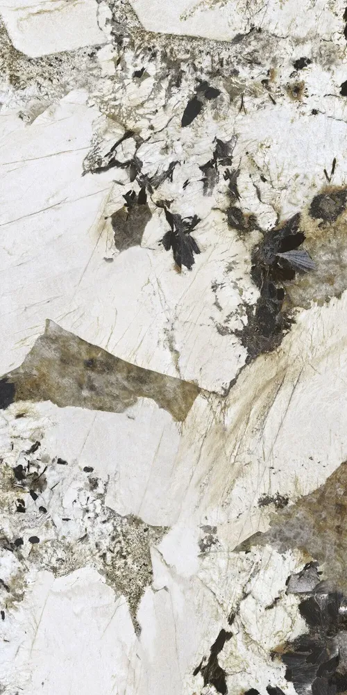 Revêtements sols intérieurs - Grès Cérame Effet Marbre Patagonie Brillant 60X120 - EPAA158 (Ceramishop.fr) - CERAMISHOP