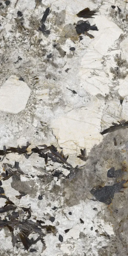 Revêtements sols intérieurs - Grès Cérame Effet Marbre Patagonie Brillant 60X120 - EPAA158 (Ceramishop.fr) - CERAMISHOP