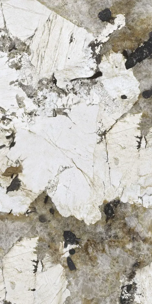 Revêtements sols intérieurs - Grès Cérame Effet Marbre Patagonie Brillant 60X120 - EPAA158 (Ceramishop.fr) - CERAMISHOP