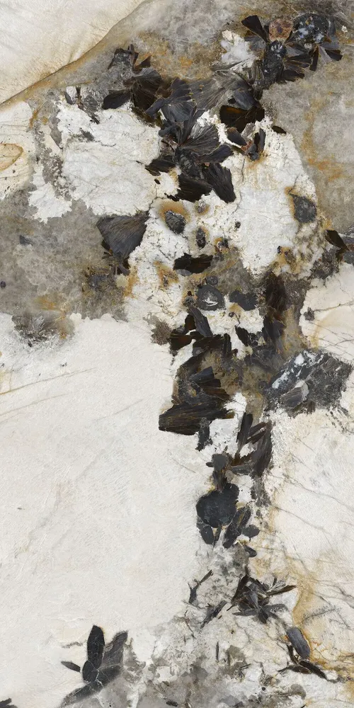 Revêtements sols intérieurs - Grès Cérame Effet Marbre Patagonie Brillant 60X120 - EPAA158 (Ceramishop.fr) - CERAMISHOP