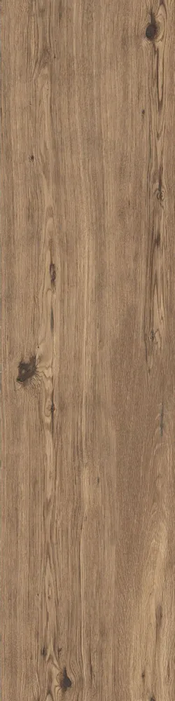 Revêtements sols intérieurs - Grès Cérame Effet Bois Brut Noix Mat 30X120 - EPNT269 (Ceramishop.fr) - CERAMISHOP