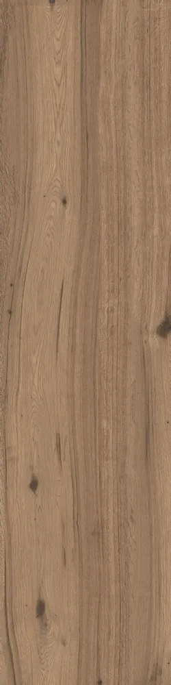 Revêtements sols intérieurs - Grès Cérame Effet Bois Brut Noix Mat 30X120 - EPNT269 (Ceramishop.fr) - CERAMISHOP