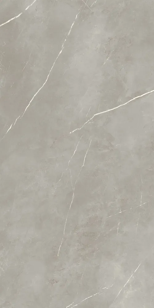 Revêtements sols intérieurs - Grès Cérame Effet Marbre Royal Gris Brillant 60X120 - EPYF166 (Ceramishop.fr) - CERAMISHOP