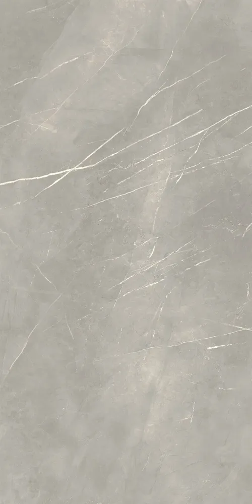 Revêtements sols intérieurs - Grès Cérame Effet Marbre Royal Gris Brillant 60X120 - EPYF166 (Ceramishop.fr) - CERAMISHOP