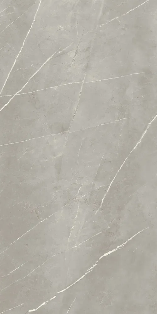 Revêtements sols intérieurs - Grès Cérame Effet Marbre Royal Gris Brillant 60X120 - EPYF166 (Ceramishop.fr) - CERAMISHOP