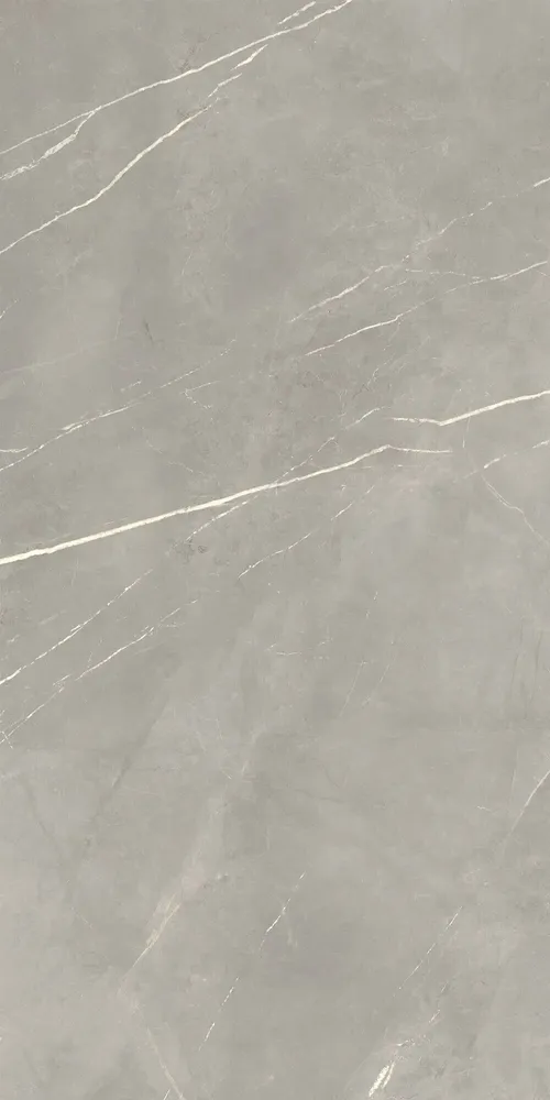 Revêtements sols intérieurs - Grès Cérame Effet Marbre Royal Gris Brillant 60X120 - EPYF166 (Ceramishop.fr) - CERAMISHOP