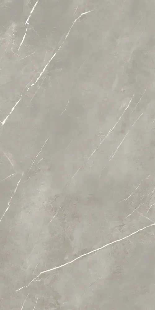Revêtements sols intérieurs - Grès Cérame Effet Marbre Royal Gris Mat 60X120 - EPYF169 (Ceramishop.fr) - CERAMISHOP