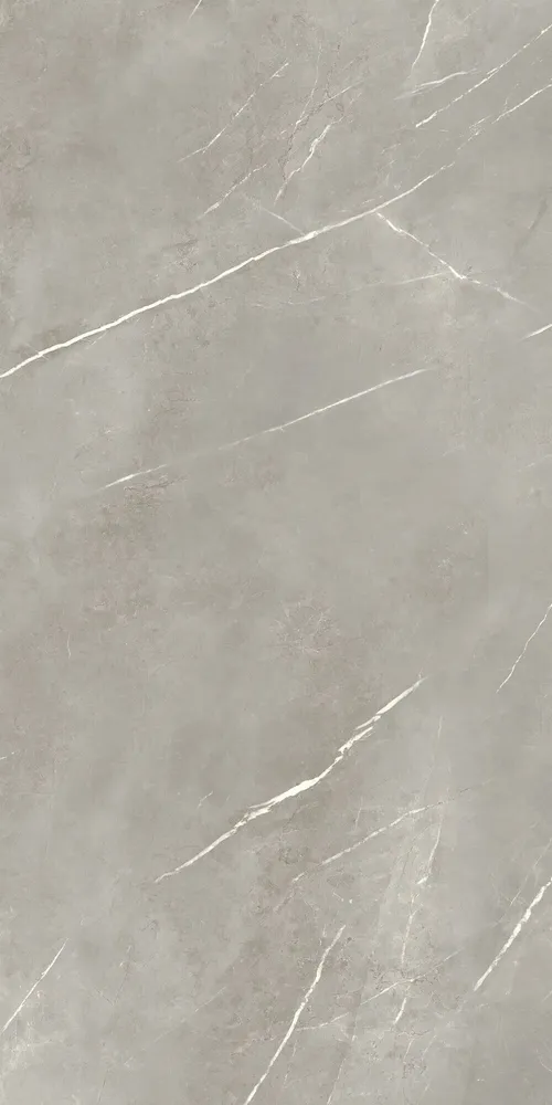 Revêtements sols intérieurs - Grès Cérame Effet Marbre Royal Gris Mat 60X120 - EPYF169 (Ceramishop.fr) - CERAMISHOP
