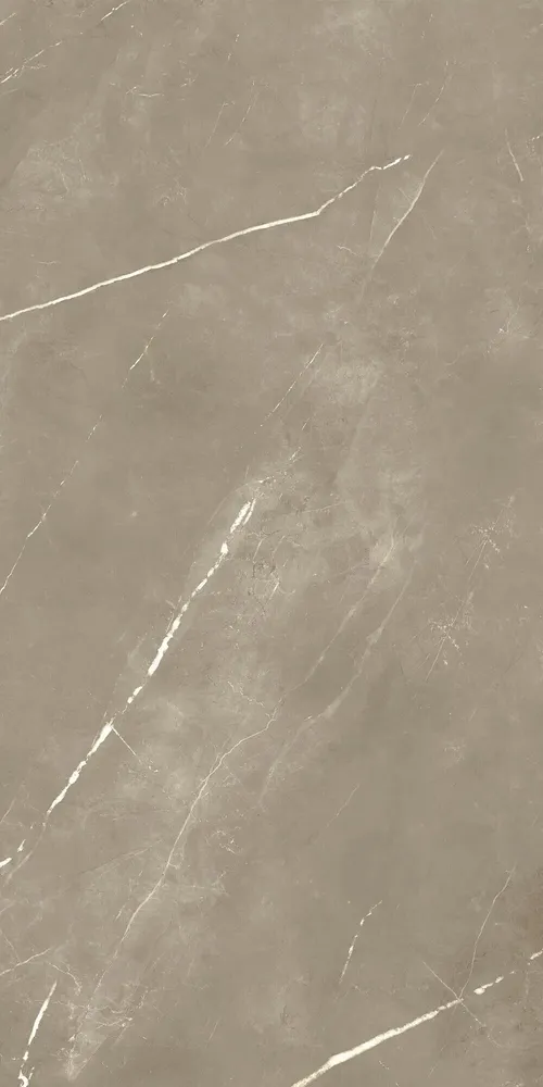 Indoor floor coverings - Royal Taupe Glossy Marble Effect Porcelain Tiles 60X120 - EPYT165 (Ceramishop.fr) - CERAMISHOP