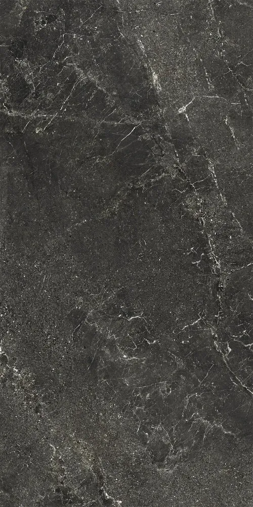 Revêtements sols extérieurs - Grès Cérame Effet Pierre Veinée Noir Antidérapant 60X120 - EWBE1324 (Ceramishop.fr) - CERAMISHOP