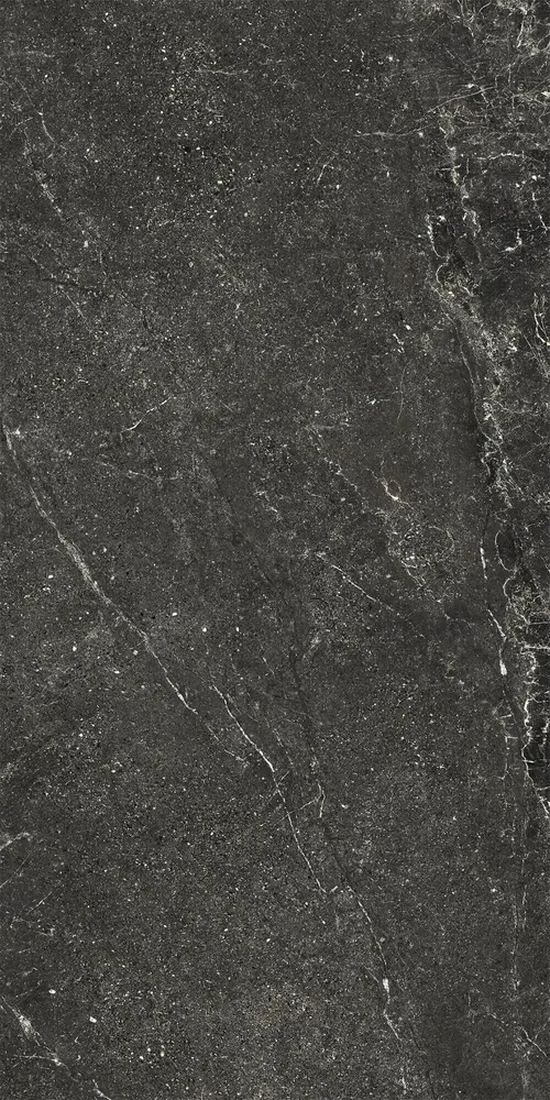 Revêtements sols extérieurs - Grès Cérame Effet Pierre Veinée Noir Antidérapant 60X120 - EWBE1324 (Ceramishop.fr) - CERAMISHOP