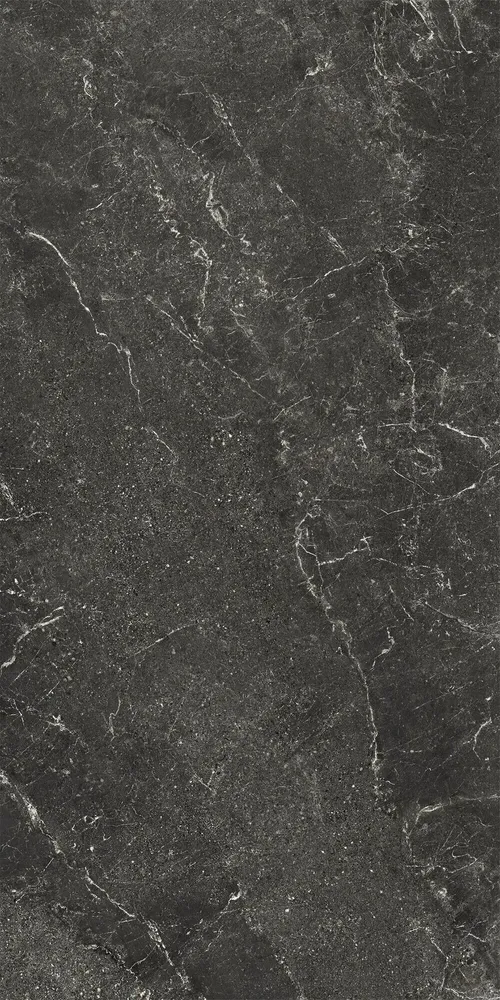 Revêtements sols extérieurs - Grès Cérame Effet Pierre Veinée Noir Antidérapant 60X120 - EWBE1324 (Ceramishop.fr) - CERAMISHOP