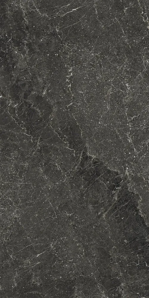 Revêtements sols extérieurs - Grès Cérame Effet Pierre Veinée Noir Antidérapant 60X120 - EWBE1324 (Ceramishop.fr) - CERAMISHOP