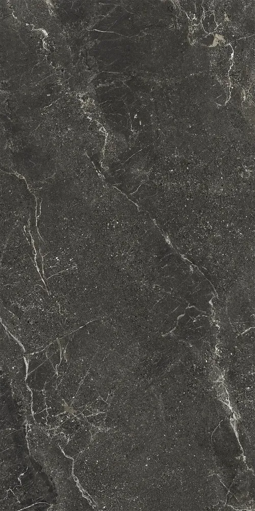 Revêtements sols extérieurs - Grès Cérame Effet Pierre Veinée Noir Antidérapant 60X120 - EWBE1324 (Ceramishop.fr) - CERAMISHOP