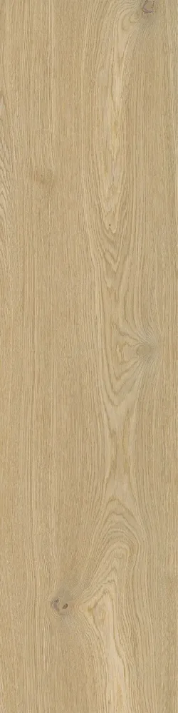 Revêtements sols intérieurs - Grès Cérame Effet Bois Moderne Élégant Marron Clair Mat Rt 30X120 - EWCR1668 (Ceramishop.fr) - CERAMISHOP