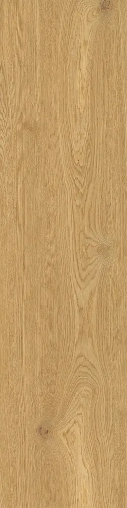 Revêtements sols intérieurs - Grès Cérame Effet Bois Moderne Élégant Caramel Mat Rt 30X120 - EWCL1677 (Ceramishop.fr) - CERAMISHOP