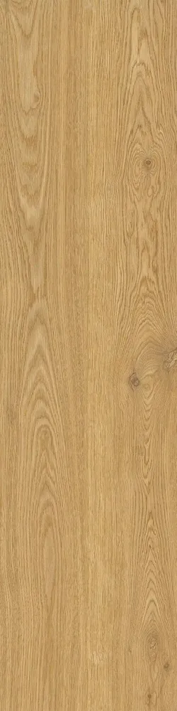 Revêtements sols intérieurs - Grès Cérame Effet Bois Moderne Élégant Caramel Mat Rt 30X120 - EWCL1677 (Ceramishop.fr) - CERAMISHOP