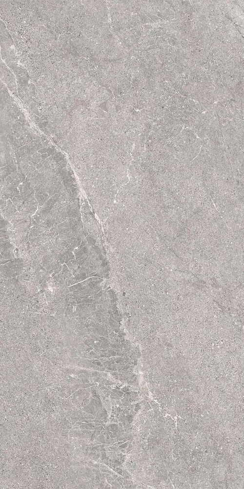 Indoor floor coverings - Porcelain Stoneware with Veined Stone Effect, Grey, 60x120 - EWSE1321 (Ceramishop.fr) - CERAMISHOP