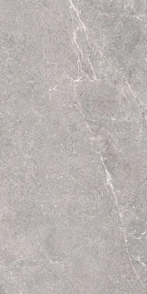 Indoor floor coverings - Porcelain Stoneware with Veined Stone Effect, Grey, 60x120 - EWSE1321 (Ceramishop.fr) - CERAMISHOP