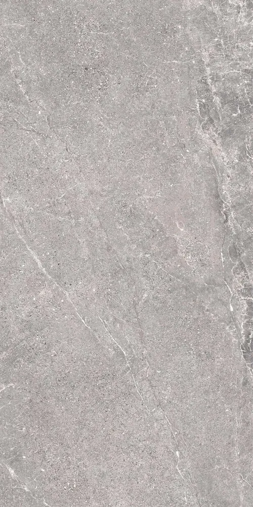 Indoor floor coverings - Porcelain Stoneware with Veined Stone Effect, Grey, 60x120 - EWSE1321 (Ceramishop.fr) - CERAMISHOP