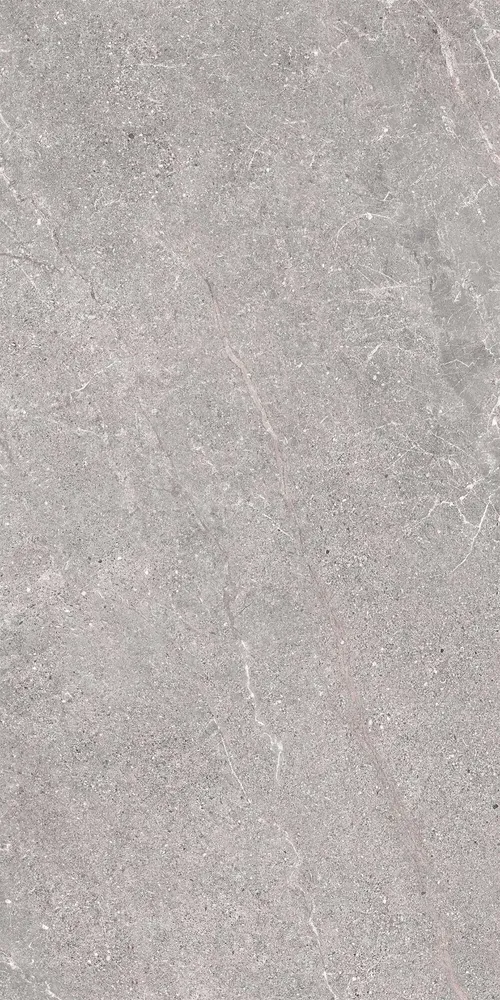 Indoor floor coverings - Porcelain Stoneware with Veined Stone Effect, Grey, 60x120 - EWSE1321 (Ceramishop.fr) - CERAMISHOP