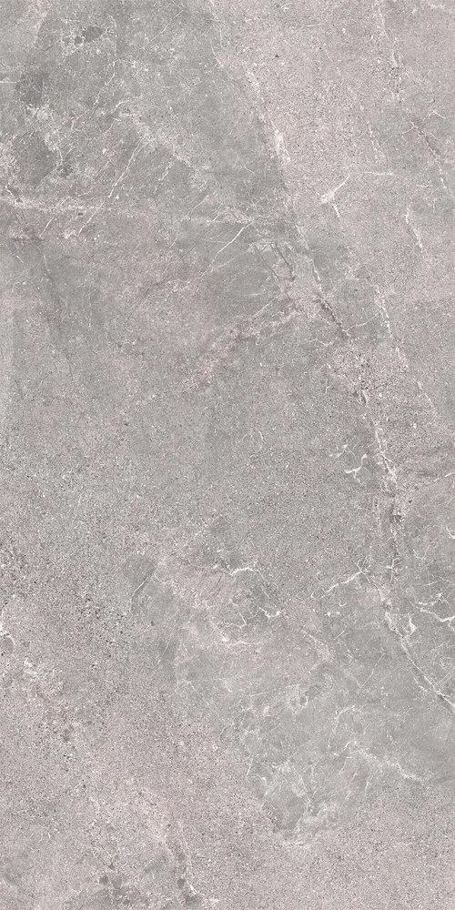 Indoor floor coverings - Porcelain Stoneware with Veined Stone Effect, Grey, 60x120 - EWSE1321 (Ceramishop.fr) - CERAMISHOP
