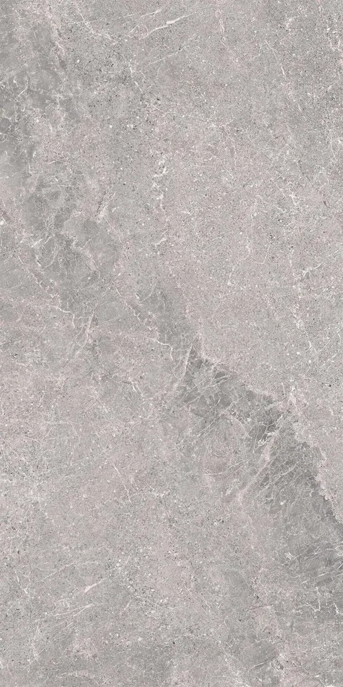 Indoor floor coverings - Porcelain Stoneware with Veined Stone Effect, Grey, 60x120 - EWSE1321 (Ceramishop.fr) - CERAMISHOP