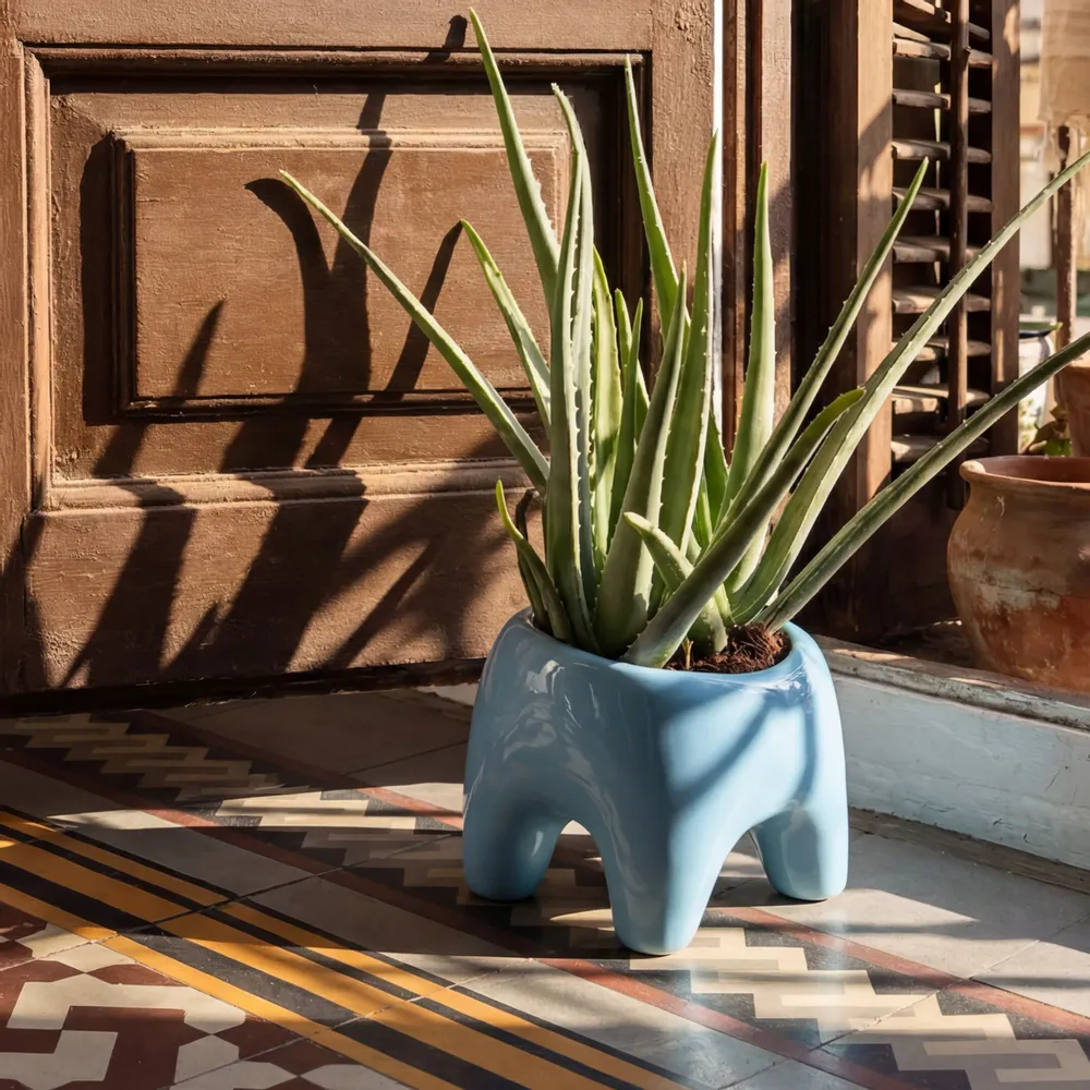 Pots de fleurs - Cache-pot BUDDY – Bleu Ciel - BIBAH